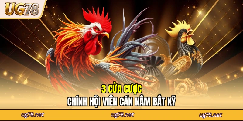 3 cửa cược chính hội viên cần nắm bắt kỹ