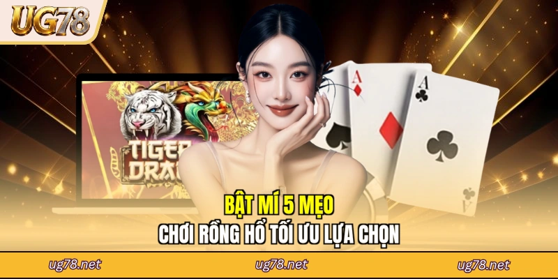 Bật mí 5 mẹo chơi Rồng Hổ tối ưu lựa chọn