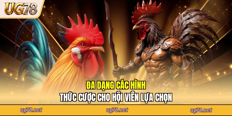 Đa dạng các hình thức cược cho hội viên lựa chọn