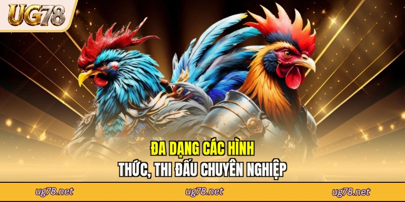 Đa dạng các hình thức, thi đấu chuyên nghiệp