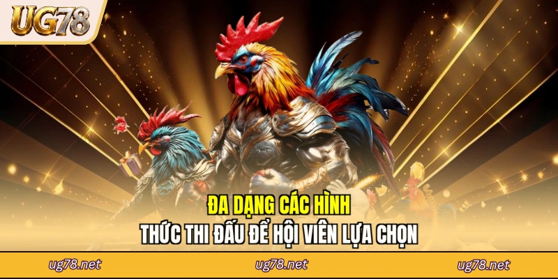 Đa dạng các hình thức thi đấu để hội viên lựa chọn