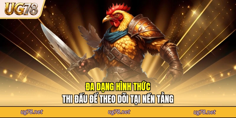 Đa dạng hình thức thi đấu để theo dõi tại nền tảng