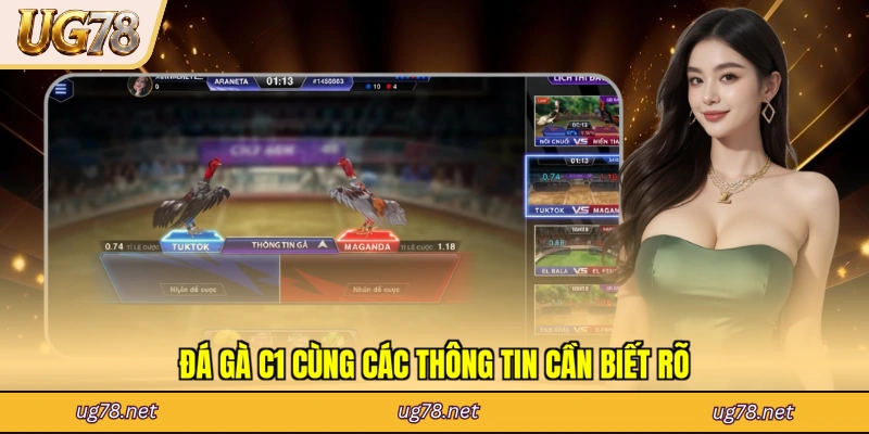 Đá gà C1 cùng các thông tin cần biết rõ