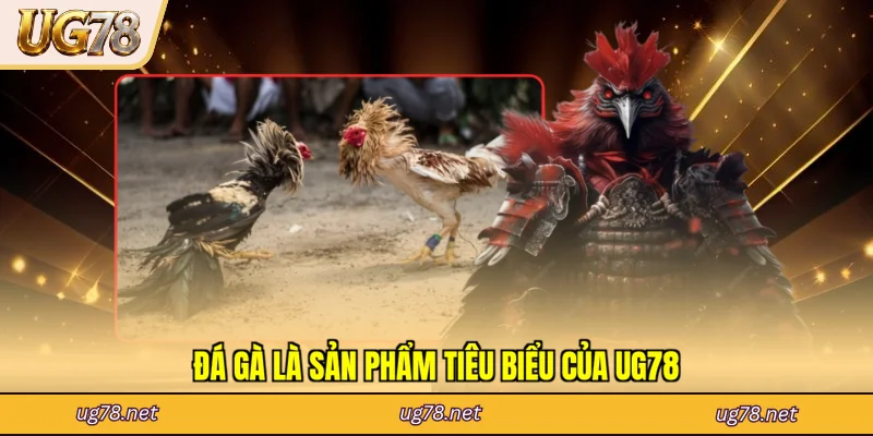 Đá gà là sản phẩm tiêu biểu của UG78