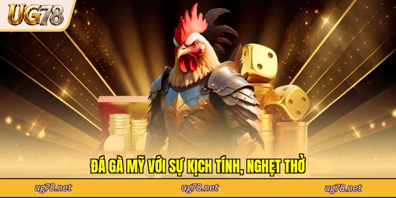 Đá gà Mỹ với sự kịch tính, nghẹt thở