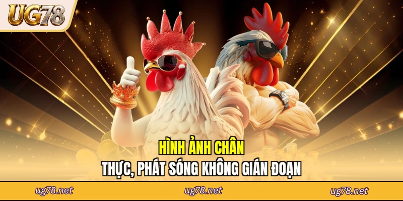 Hình ảnh chân thực, phát sóng không gián đoạn