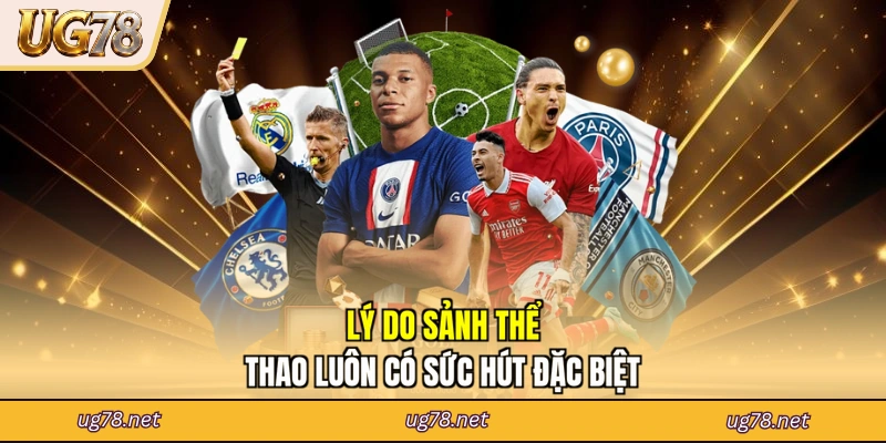 Lý do sảnh thể thao luôn có sức hút đặc biệt