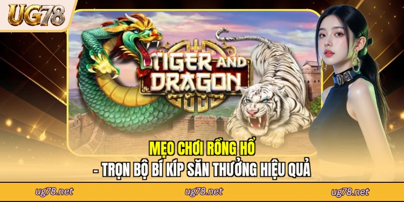 Mẹo Chơi Rồng Hổ - Trọn Bộ Bí Kíp Săn Thưởng Hiệu Quả