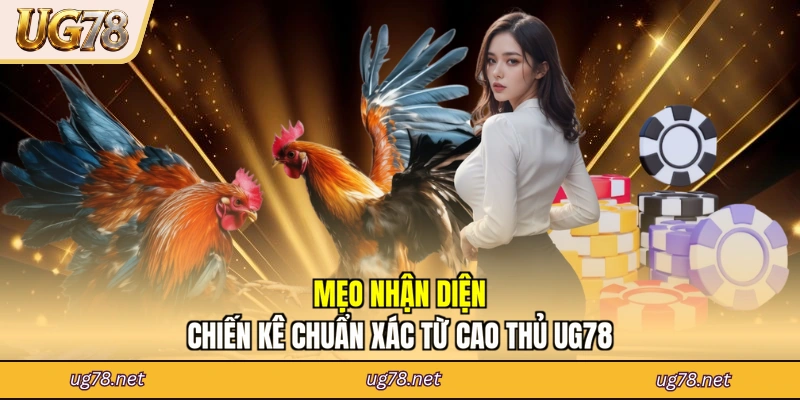 Mẹo nhận diện chiến kê chuẩn xác từ cao thủ UG78