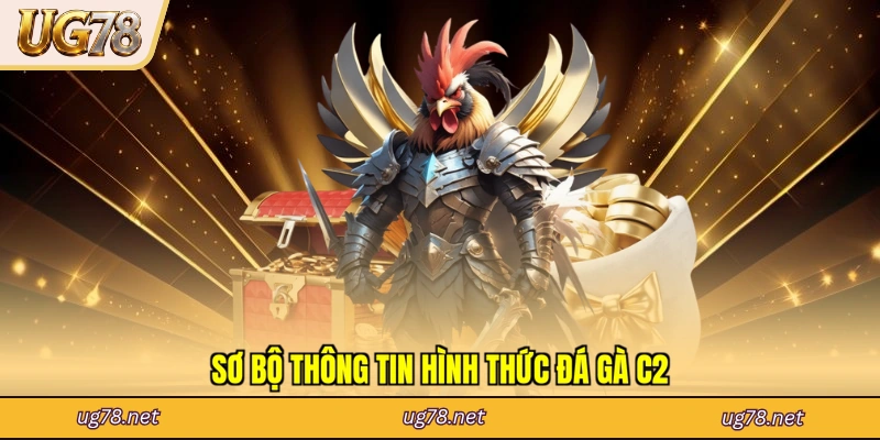 Sơ bộ thông tin hình thức đá gà C2