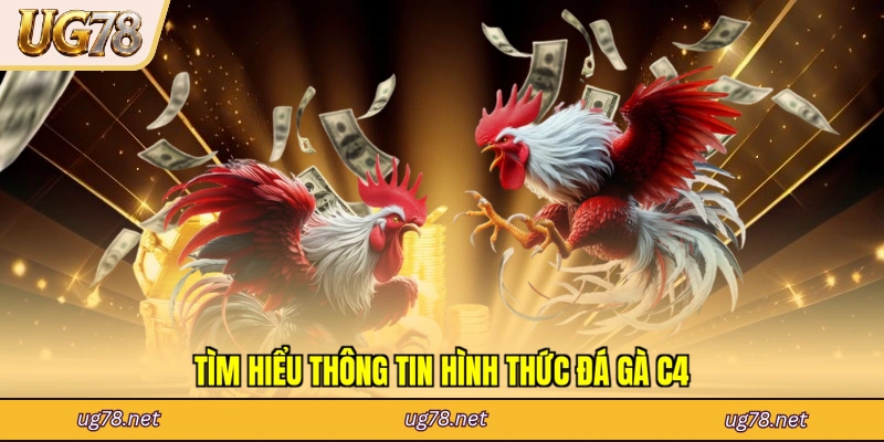Tìm hiểu thông tin hình thức đá gà C4