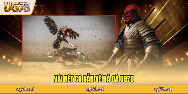 Vài nét cơ bản về đá gà UG78